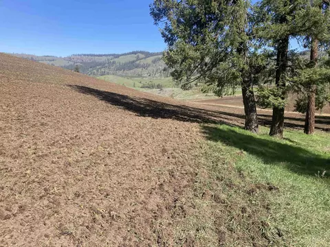 tbd Rangeline Dr, Kamiah, ID 83536 photo 16