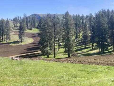 tbd Rangeline Dr, Kamiah, ID 83536 photo 24