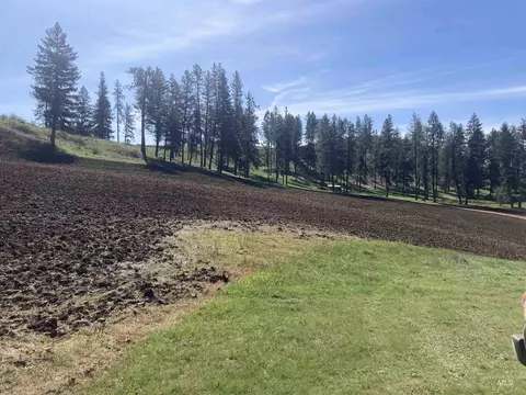 tbd Rangeline Dr, Kamiah, ID 83536 photo 9