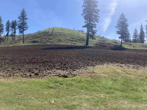 tbd Rangeline Dr, Kamiah, ID 83536 photo 6