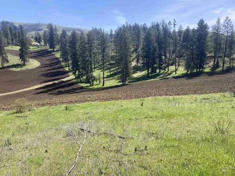tbd Rangeline Dr, Kamiah, ID 83536 photo 18
