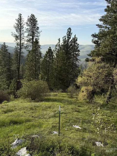 tbd Summit Grade Parcel D, Lenore, ID 83501 photo 15