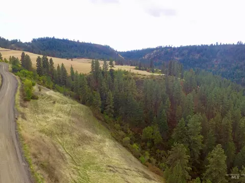 tbd Summit Grade Parcel D, Lenore, ID 83501 photo 5