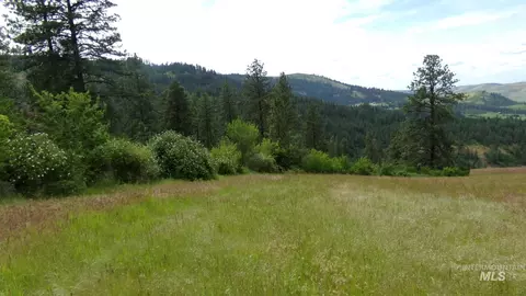 tbd Summit Grade Parcel D, Lenore, ID 83501 photo 29