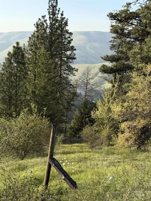 tbd Summit Grade Parcel D, Lenore, ID 83501 photo 8