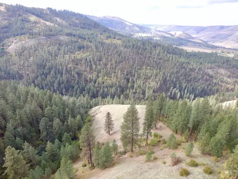 tbd Summit Grade Parcel D, Lenore, ID 83501 photo 3