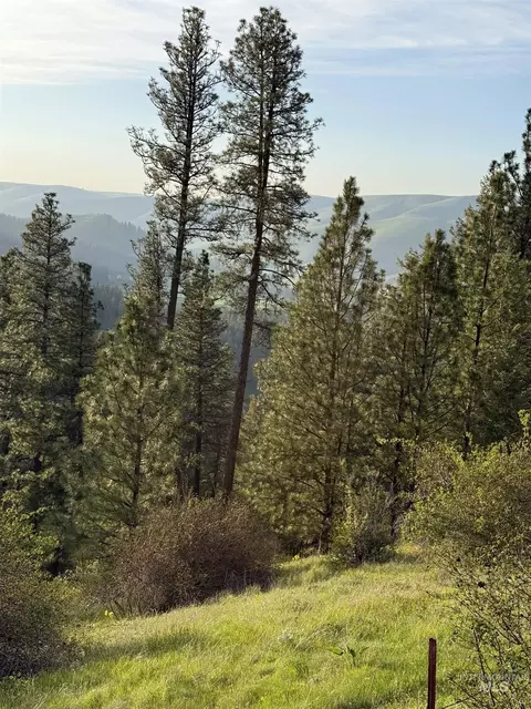 tbd Summit Grade Parcel D, Lenore, ID 83501 photo 10