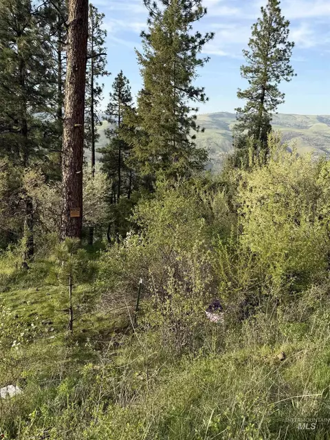 tbd Summit Grade Parcel D, Lenore, ID 83501 photo 18