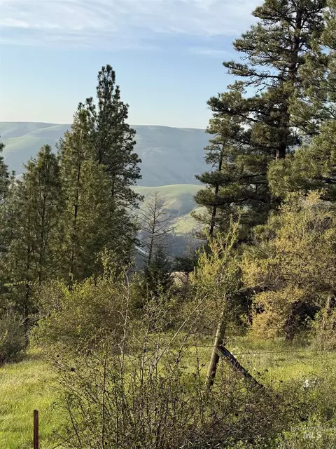 tbd Summit Grade Parcel D, Lenore, ID 83501 photo 11