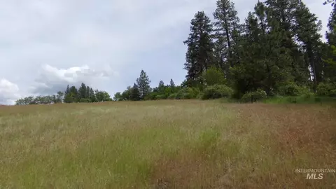 tbd Summit Grade Parcel D, Lenore, ID 83501 photo 26