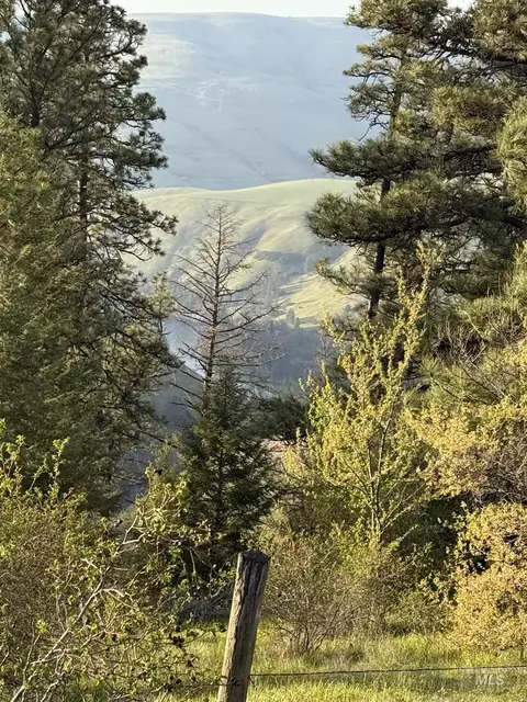 tbd Summit Grade Parcel D, Lenore, ID 83501 photo 12