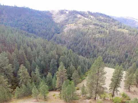 tbd Summit Grade Parcel D, Lenore, ID 83501 photo 4