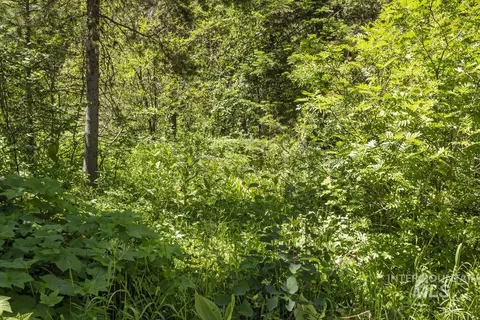 513 Susan Rd, Cascade, ID 83611 photo 6