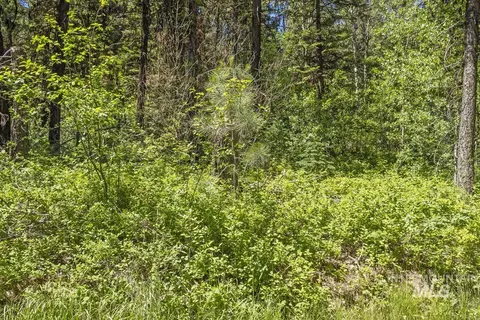 513 Susan Rd, Cascade, ID 83611 photo 3