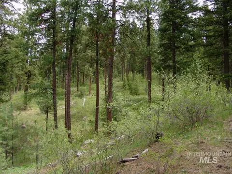 10848 Callender Rd, Cascade, ID 83611 photo 3