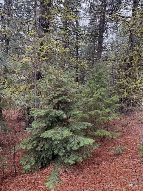 tbd Lot 27 Price Loop, Cascade, ID 83611 photo 4