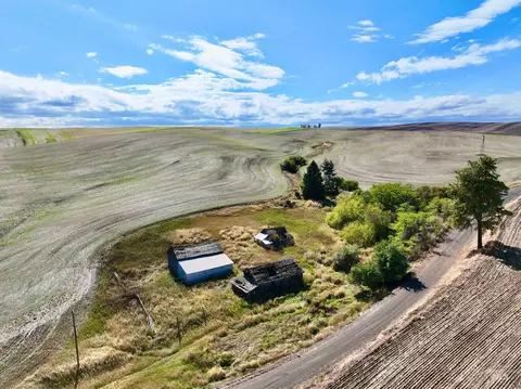 tbd Central Ridge Rd Younger Rd, Craigmont, ID 83523
