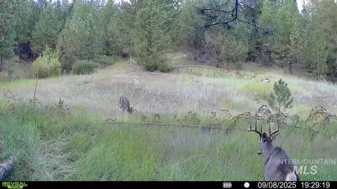 20 01 Ac Tbd Smith Ferry Dr, Smiths Ferry, ID 83611 photo 48