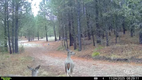 20 01 Ac Tbd Smith Ferry Dr, Smiths Ferry, ID 83611 photo 47
