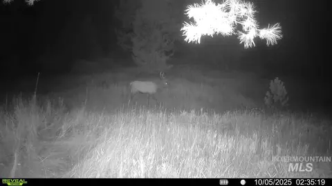 20 01 Ac Tbd Smith Ferry Dr, Smiths Ferry, ID 83611 photo 49