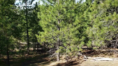 20 01 Ac Tbd Smith Ferry Dr, Smiths Ferry, ID 83611 photo 33