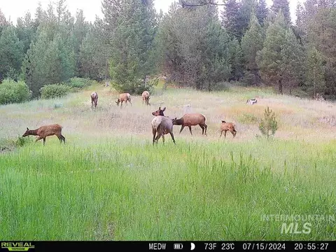 20 01 Ac Tbd Smith Ferry Dr, Smiths Ferry, ID 83611 photo 36