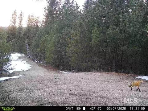 20 01 Ac Tbd Smith Ferry Dr, Smiths Ferry, ID 83611 photo 42