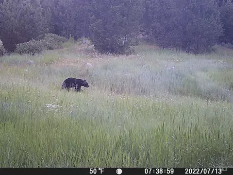 20 01 Ac Tbd Smith Ferry Dr, Smiths Ferry, ID 83611 photo 45