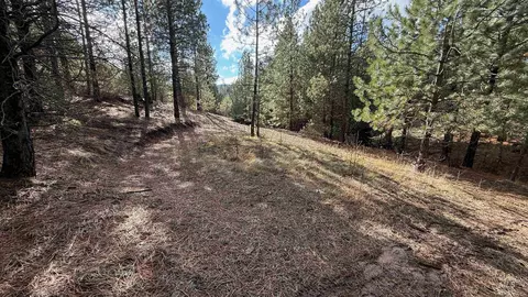 20 01 Ac Tbd Smith Ferry Dr, Smiths Ferry, ID 83611 photo 16