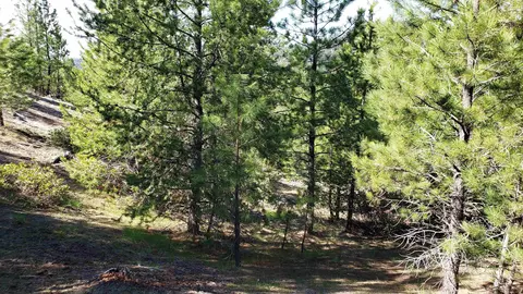 20 01 Ac Tbd Smith Ferry Dr, Smiths Ferry, ID 83611 photo 34