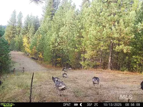 20 01 Ac Tbd Smith Ferry Dr, Smiths Ferry, ID 83611 photo 40