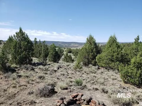 Tract 44 Triangle Ranch, Murphy, ID 83650