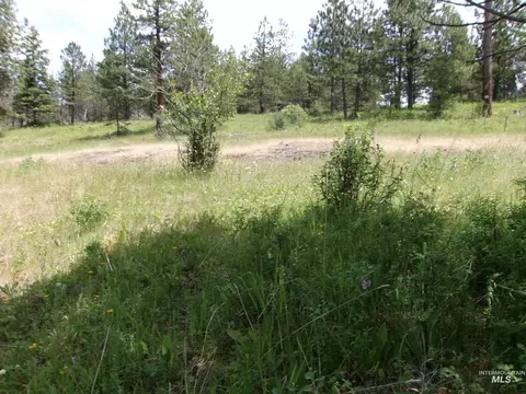 tbd Jackpine Rd, Cottonwood, ID 83522