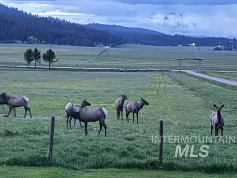 Other - 3133 Bacon Creek Rd, Cascade, ID 83611 photo 12 of 17