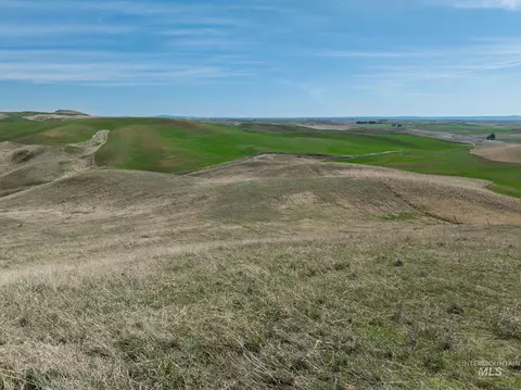 Nka Jacksha, Moscow, ID 83843
