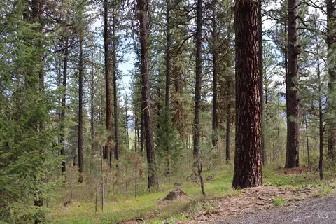 tbd Hot Springs Rd, New Meadows, ID 83654