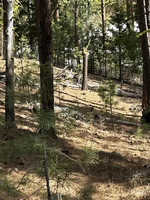 1483 Pine Lakes Ranch Rd, Cascade, ID 83611 photo 15