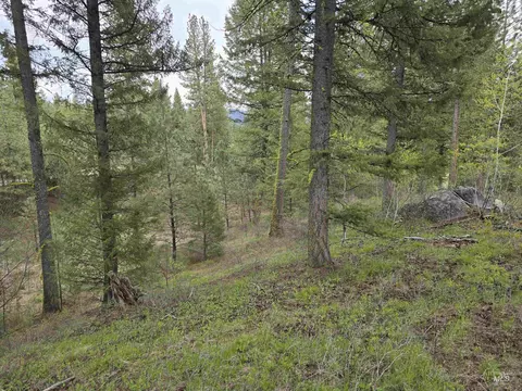 L3 B2 Rehn Loop, Cascade, ID 83611 photo 2
