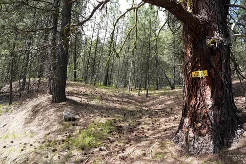 lot28 Fire Ridge Rd, Garden Valley, ID 83622