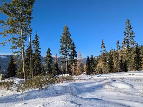 tbd North Loop, Mccall, ID 83638 photo 4