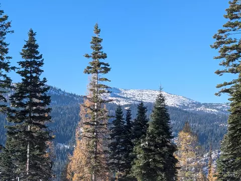 tbd North Loop, Mccall, ID 83638 photo 6