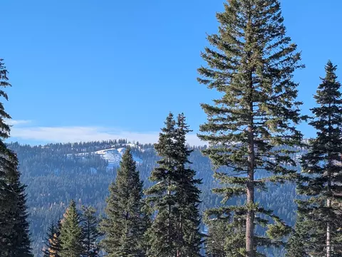 tbd North Loop, Mccall, ID 83638 photo 7