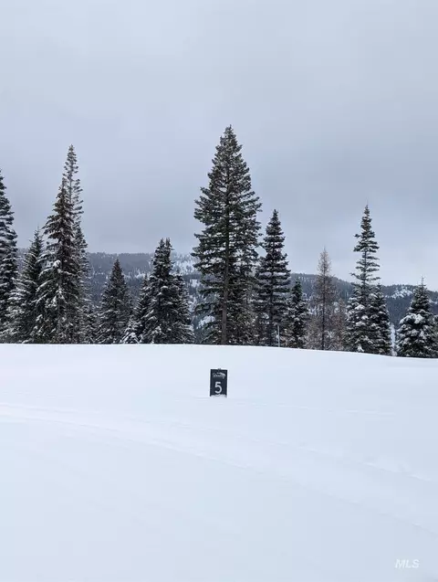 tbd North Loop, Mccall, ID 83638 photo 10