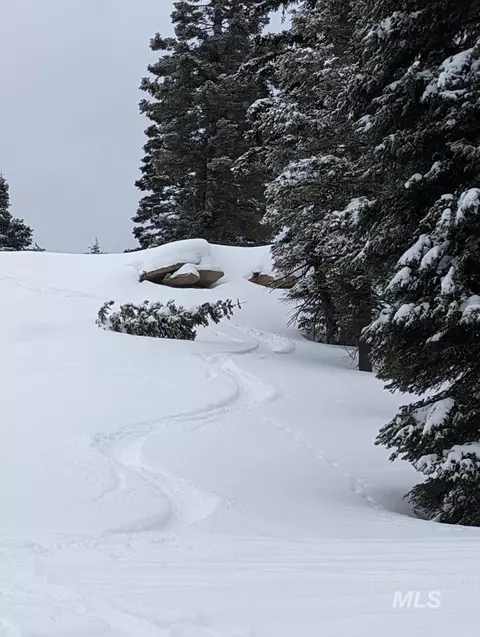 tbd North Loop, Mccall, ID 83638 photo 9
