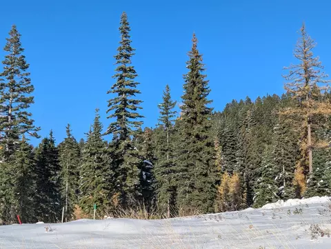 tbd North Loop, Mccall, ID 83638 photo 5