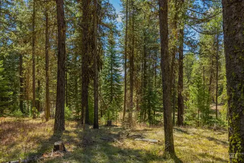 9 Collins Ct, Mccall, ID 83638 photo 8