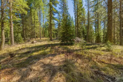 9 Collins Ct, Mccall, ID 83638 photo 14