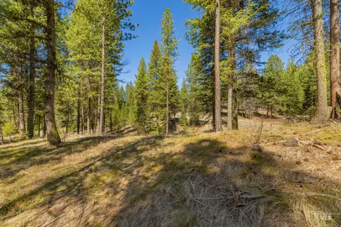 9 Collins Ct, Mccall, ID 83638 photo 6