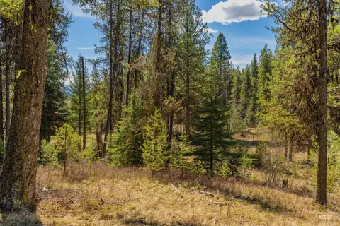 9 Collins Ct, Mccall, ID 83638 photo 11