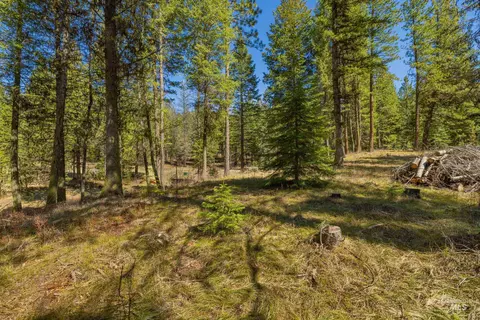 9 Collins Ct, Mccall, ID 83638 photo 9